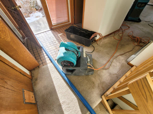 Best Ceiling water damage repair  in Portland, MI