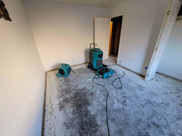 Best Mold removal after water damage  in Portland, MI