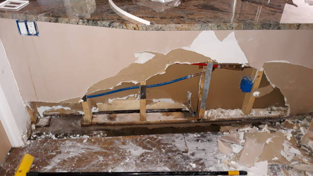 Best Ceiling water damage repair  in Portland, MI