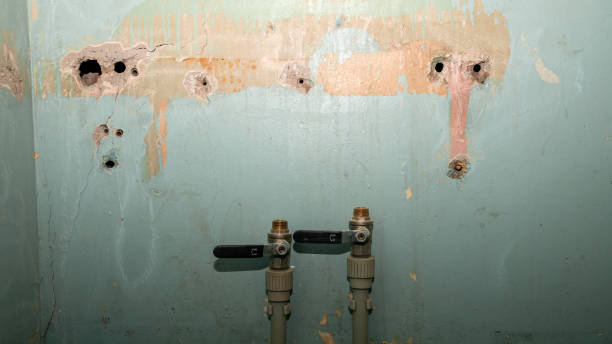Best Sewage cleanup and water damage restoration  in Portland, MI