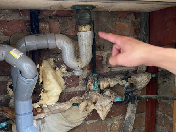 Carpet water damage restoration in MI