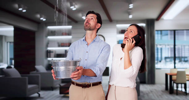 Best Fire Damage Restoration  in Portland, MI